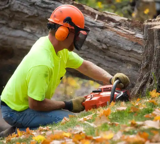 tree services Brentwood